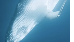 Marnie Sinclair sculpture "Ice Melt"